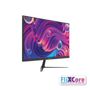 monitor hikvision ds5024f 2